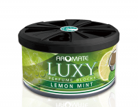 Lemon Mint Car Air Freshener Blocks